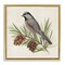 Stupell Industries Bird on Pine Tree Framed Floater Canvas Wall Art